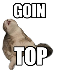goin top goin top